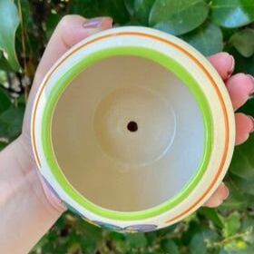 Mini Cactus Planter Pot