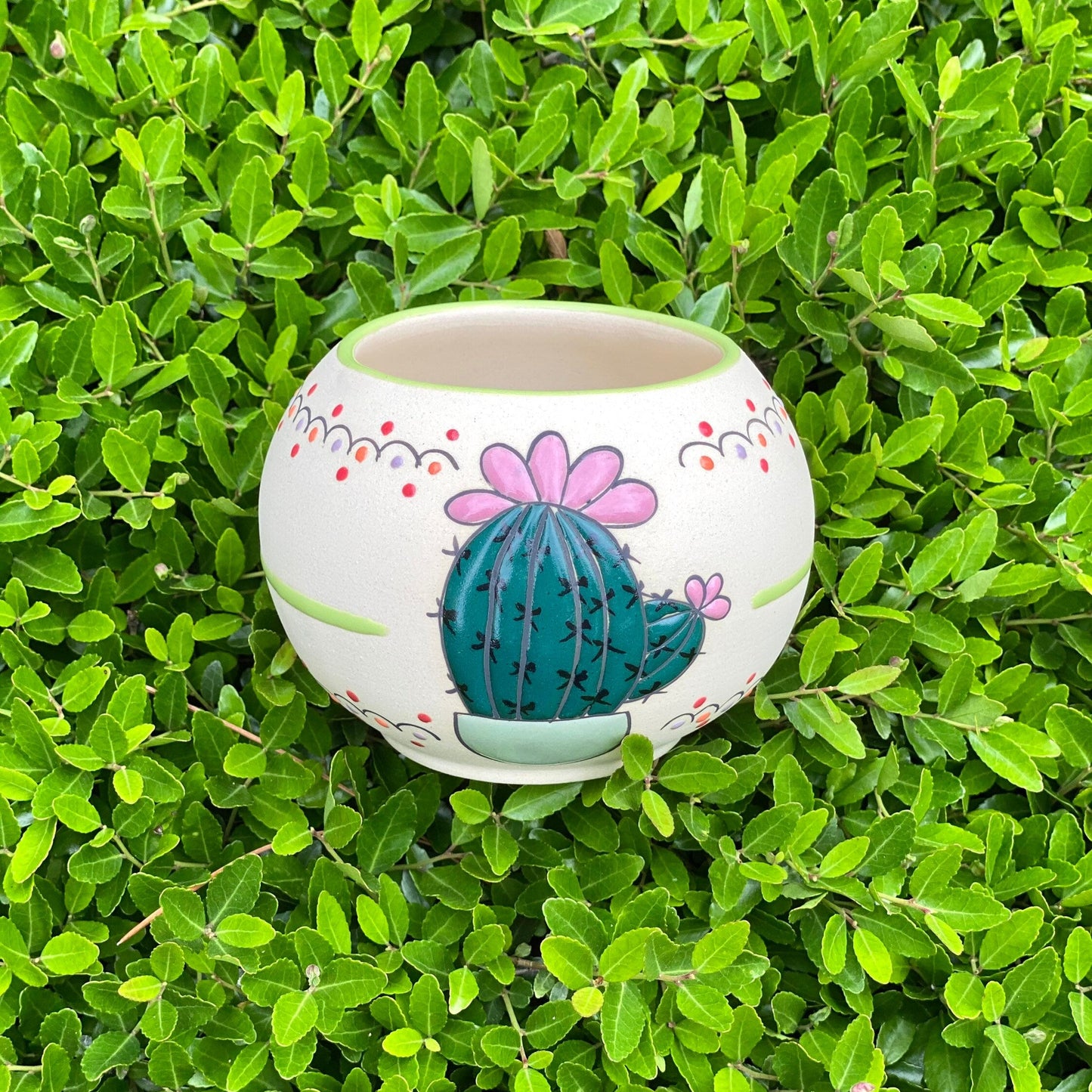 Mini Cactus Planter Pot