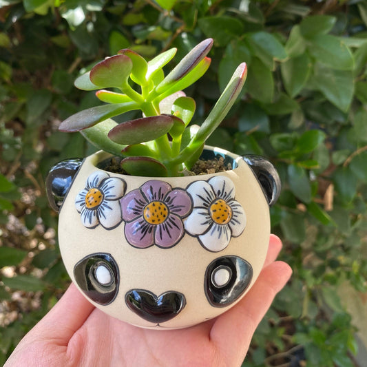 Mini Panda Planter Pot,